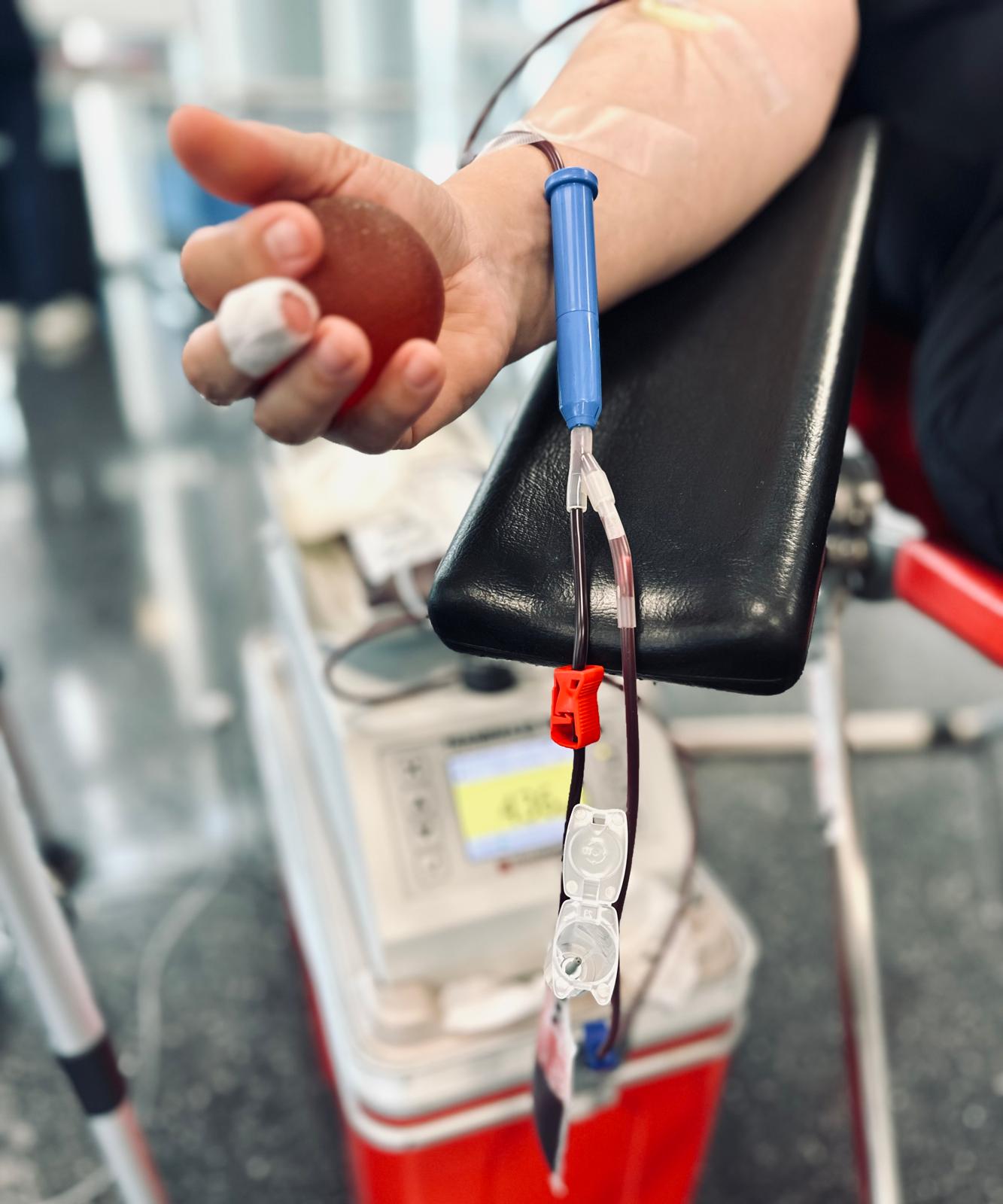 Aktuelles 2024: IMG 20241021 WA0003