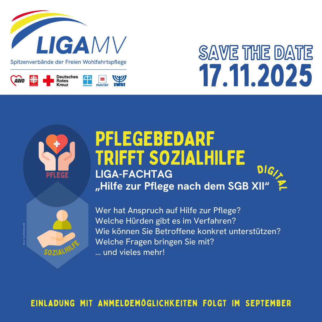 Ein Poster für einen LIGA-Fachtag zur Pflege, 17.11.2025, digital. Hauptthema: Pflegebedarf trifft Sozialhilfe.