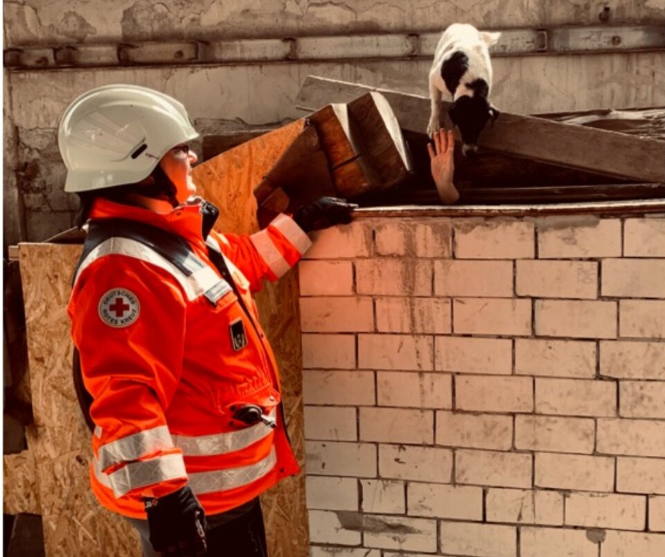 2022: Design ohne Titel 21