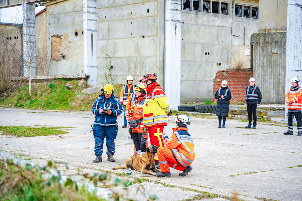 Menschen in Rettungskleidung trainieren mit einem Hund vor einer verlassenen Fabrik.